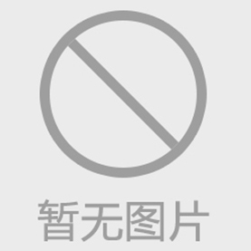 TD處理技術在汽車模具上的應用及失效分析